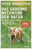 Peter Wohlleben - Das geheime Netzwerk der Natur, Häftad