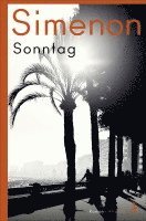 Georges Simenon - Sonntag, Häftad
