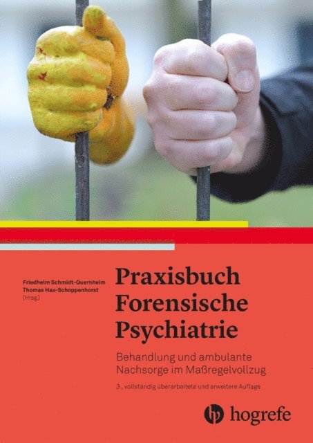Thomas Schoppenhorst, Friedhelm Quernheim - Praxisbuch forensische Psychiatrie, E-bok