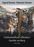 'Geheimnivoll offenbar'. Goethe im Berg
