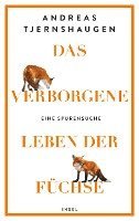 Andreas Tjernshaugen - Das verborgene Leben der Füchse, Inbunden