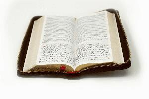 Österreichs Bischöfe Deutschlands - Die Bibel, Inbunden. Tillgänglighet: Lägg i varukorg