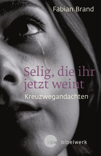 Fabian Brand - Selig, die ihr jetzt weint, E-bok