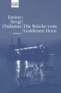 Die Br�cke vom Goldenen Horn