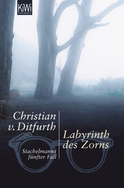 Christian von Ditfurth - Labyrinth des Zorns, E-bok