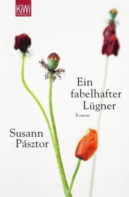 Susann Pasztor - Ein fabelhafter Lügner, E-bok