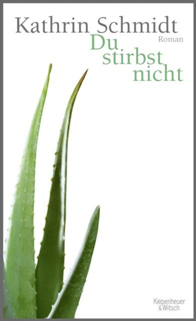 Kathrin Schmidt - Du stirbst nicht, E-bok