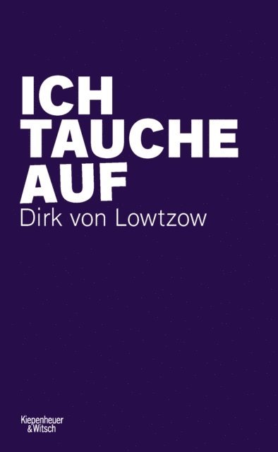 Dirk von Lowtzow - Ich tauche auf, E-bok
