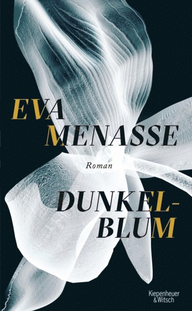 Eva Menasse - Dunkelblum, E-bok