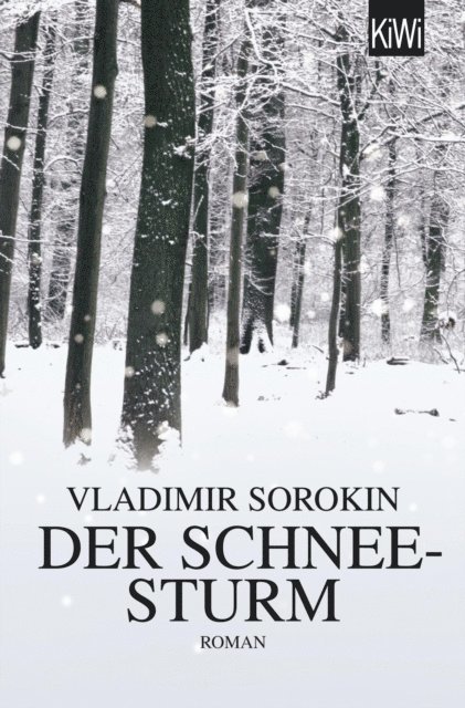 Vladimir Sorokin - Der Schneesturm, E-bok