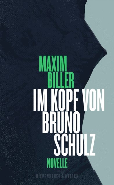 Maxim Biller - Im Kopf von Bruno Schulz, E-bok