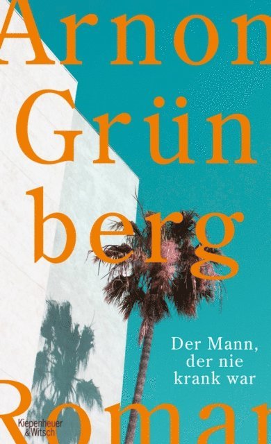Arnon Grunberg - Der Mann, der nie krank war, E-bok