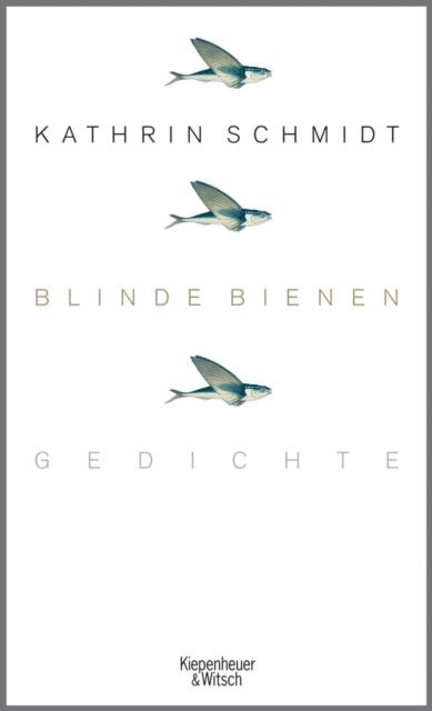 Kathrin Schmidt - Blinde Bienen, E-bok