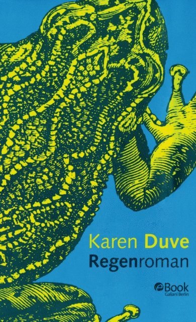 Karen Duve - Regenroman, E-bok