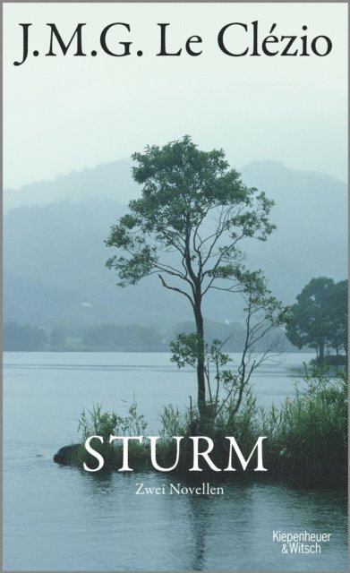 J. M. G. Le Clezio - Sturm, E-bok