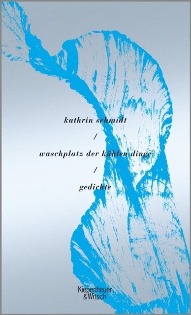 Kathrin Schmidt - waschplatz der kühlen dinge, E-bok