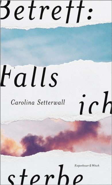 Carolina Setterwall - Betreff: Falls ich sterbe, E-bok