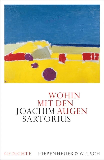 Joachim Sartorius - Wohin mit den Augen, E-bok