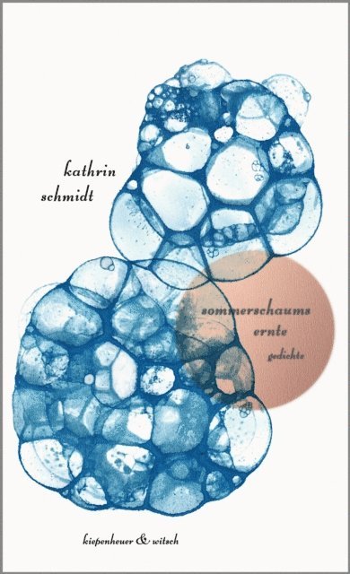 Kathrin Schmidt - sommerschaums ernte, E-bok