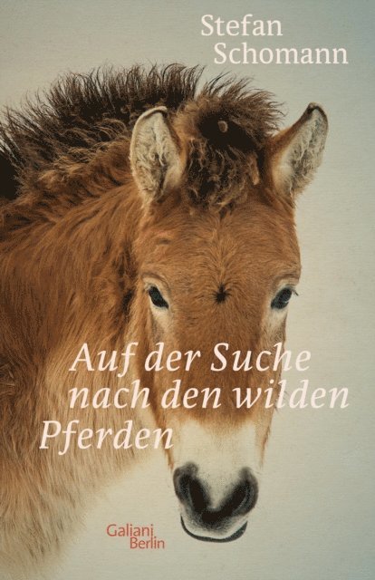 Stefan Schomann - Auf der Suche nach den wilden Pferden, E-bok