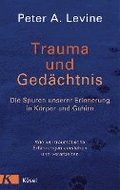 Trauma und Gedchtnis