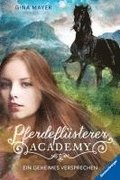 Pferdeflsterer-Academy, Band 2: Ein geheimes Versprechen