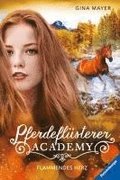 Pferdeflsterer-Academy, Band 7: Flammendes Herz