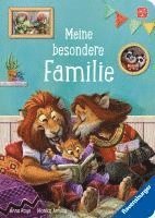 Anna Rayo - Meine besondere Familie, Kartonnage