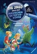 Die Jagd nach dem magischen Detektivkoffer, Band 3: Hühnerdieb gesucht!