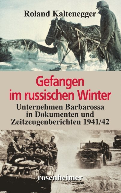 Roland Kaltenegger - Gefangen im russischen Winter, E-bok
