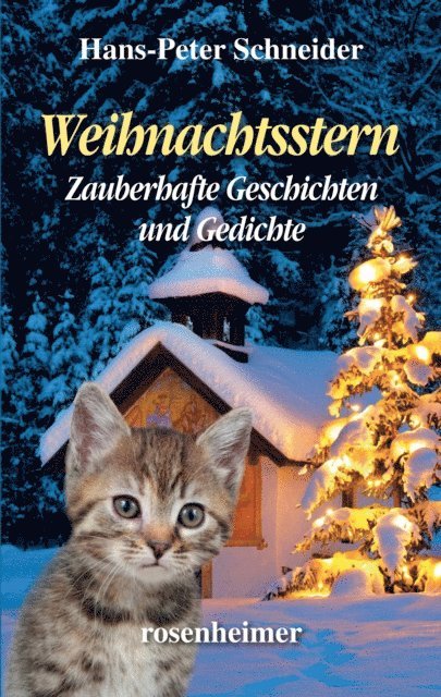 Hans-Peter Schneider - Weihnachtsstern - Zauberhafte Geschichten und Gedichte, E-bok