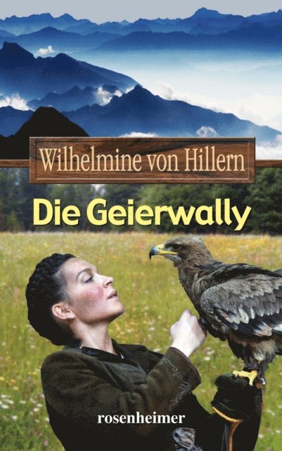 Wilhelmine von Hillern - Die Geierwally, E-bok
