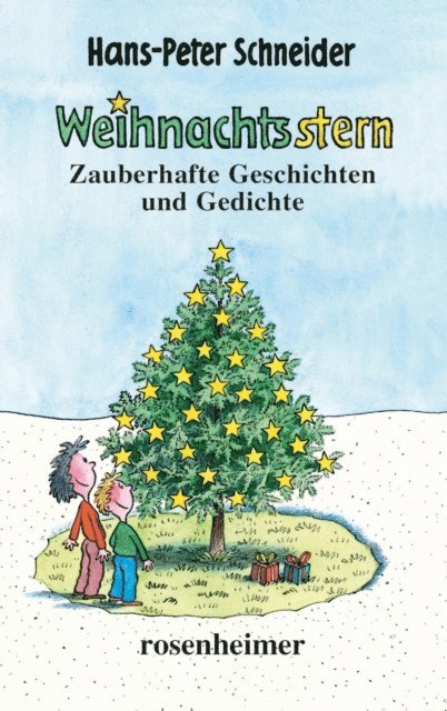Hans-Peter Schneider - Weihnachtsstern, E-bok