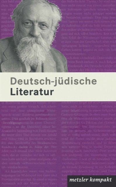 Andreas B. Kilcher - Deutsch-jüdische Literatur, E-bok