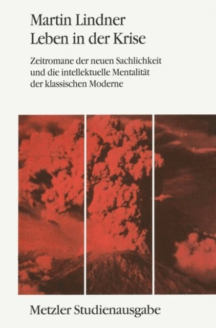 Martin Lindner - Leben in der Kriese, E-bok