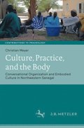 Culture, Practice, and the Body