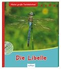Meine große Tierbibliothek: Die Libelle