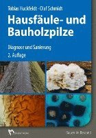 Holzfule- und Bauholzpilze