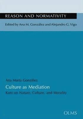 Ana Martha Gonzalez, Alejandro G Vigo - Culture as Mediation, Häftad