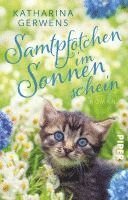 Katharina Gerwens - Samtpfötchen im Sonnenschein, Häftad