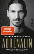 Adrenalin