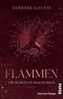 Vanessa Golnik - Flammen - The Secrets of Dracon Rock, Häftad