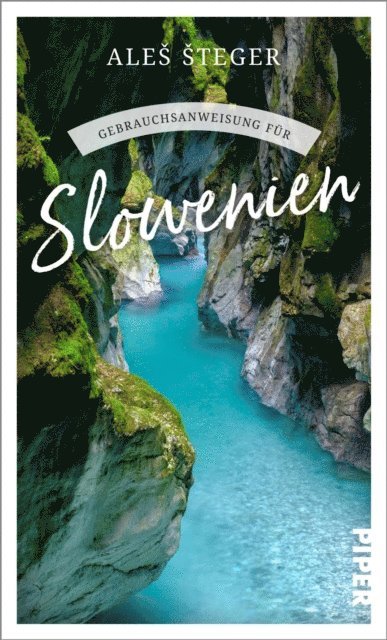 Ales Steger - Gebrauchsanweisung für Slowenien, E-bok