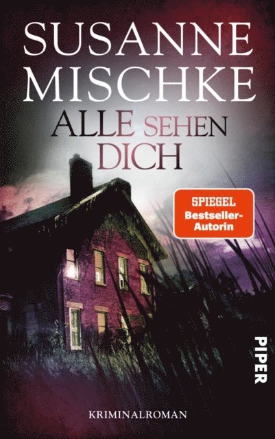 Susanne Mischke - Alle sehen dich, E-bok