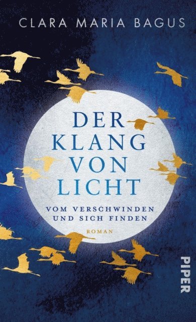 Clara Maria Bagus - Der Klang von Licht, E-bok