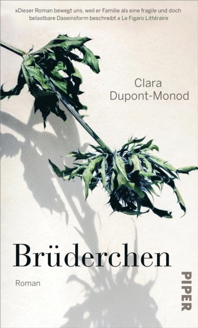Clara Dupont-Monod - Brüderchen, E-bok