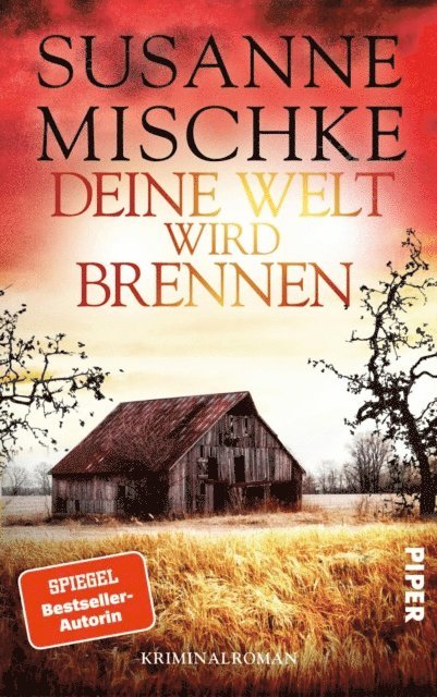 Susanne Mischke - Deine Welt wird brennen, E-bok