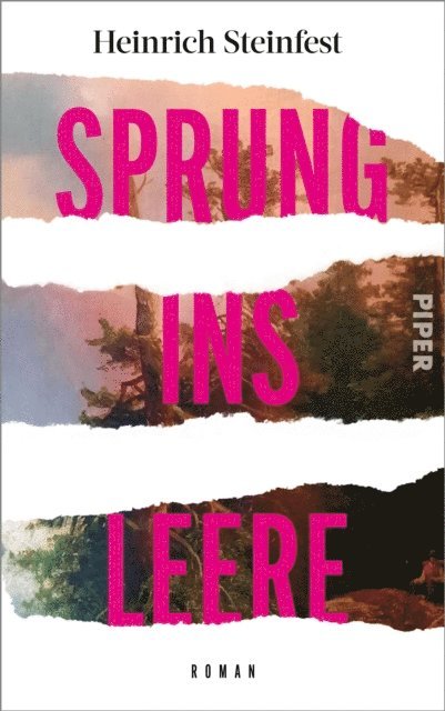 Heinrich Steinfest - Sprung ins Leere, E-bok
