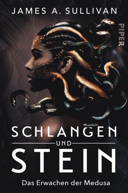 James A. Sullivan - Schlangen und Stein, E-bok