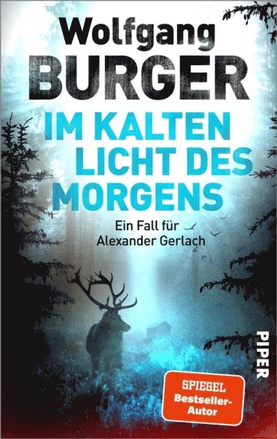 Wolfgang Burger - Im kalten Licht des Morgens, E-bok
